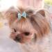 aoozleny Pet Hair Clips  30pcs 3.5CM/1.37 inches Bowknot Bows Dots Pet Hair Clips for Dog Cats Puppy Random Color - Buy Online on GoSupps.com