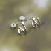 Star Spiral Hoop Earrings - Silver Boho Cluster Studs & Twist Huggies Jewelry for Women & Girls - Buy Online on GoSupps.com