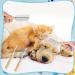 2 Pcs Dog Metal Combs | Cat Wooden Handle Grooming Comb | Stainless Steel Double-Sided Pet Grooming Brush | Long & Short Hair Fur Tool - Buy Online on GoSupps.com