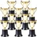 Pack of 12 Bulk 5 Inch Gold Award Trophy Cups - Plastic Trophies for Parties, Rewards, Prizes - Ideal for Kids and Adults by Bedwina - Buy Online on GoSupps.com