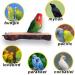 Qeeheng Wood Bird Platform Set - 2 Natural Parrot Rods & Flat Playing Stand for Small to Medium Aras - Exercise Toy & Cage Accessories - Buy Online on GoSupps.com