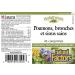 Lung Bronchial & Sinus Health | Natural Factors Respiratory Supplement | 45 Tablets - Buy Online on GoSupps.com