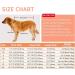 X-Small Red Bone Dog Life Preserver Vest for Swimming and Boating - High Buoyancy, Flotation Vest for Extra Small Dogs - Buy Online on GoSupps.com