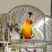 Bird Cage Light with Chew Guard for Hookbill Birds - Full Spectrum LED Pet Light by M&M Cage Co. | Simulates Natural Environment - Hookbill Light 18 - Buy Online on GoSupps.com