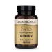 Dr. Mercola Fermented Ginger 60 Capsules