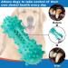 Toothbrush Dog Chew Toy Stick Bone for Dog Teeth Cleaning Tooth Brushing Teething Chew Toys Dental Oral Care for Small Medium and Large Dogs(Blue) - Buy Online on GoSupps.com