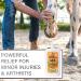 Absorbine Veterinary Liniment Gel 12 oz - Topical Menthol Analgesic for Pain Relief - Buy Online on GoSupps.com