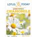 Chamomile Tea for relaxation whole Loose Flowers premium quality Herbal tea 30 grams - Buy Online on GoSupps.com
