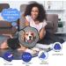 VAVOPAW Adjustable Protective Collar for Dogs & Cats - Breathable Elizabethean Neck Band - Leak Protection After Surgery - Eco-Friendly Blue/Gray - Buy Online on GoSupps.com