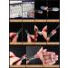 EBANKU 288PCS Clear Dual Nail Forms System Full Cover Nail Mold Tips Acrylic Nail Extension with 72PCS Nail Forms Stickers for Nail Art Salon Nails Design - Buy Online on GoSupps.com