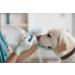 TFA Dostmann Digital Veterinarian Thermometer for Horses Cattle Dogs & Cats - Waterproof Easy to Clean Accurate Animal Body Temperature - 15:2022 - Buy Online on GoSupps.com