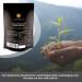 Black Seed Oil Softgel Capsules - 120 Vegetarian 500mg - Egyptian Cold Pressed Nigella Sativa - Non-GMO - Made in UK by Black Seed Lab - Buy Online on GoSupps.com