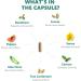 Digestic - Natural Laxative for Constipation Relief, Stool Softener for Bloating and Gas - 1 Bottle - Buy Online on GoSupps.com
