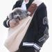 Dog Sling Carrier for Small Dogs - Reversible Front Dog Carrier with Adjustable Strap - Hands Free Pet Papoose Bag for Chest - Suitable for Puppy Small Dogs and Cats for Outdoor Travel M Beige