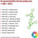 Doppelherz System Amino Acids Essential Plus Vitamin B6 & B12 for Metabolism 120 Capsules - International Shipping Available - Buy Online on GoSupps.com