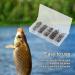 Cozlly Snaps Fishing Set - 100 Stainless Steel Duo Lock Snaps with Box | Carabiner Set for Perch Trout Pikeperch - 5 Sizes Silver | International Shipping Available - Buy Online on GoSupps.com