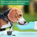 Osportfun Portable Dog Water Bottle - 550ml Leak-Proof Dispenser with 100ml Food Container & Activated Carbon Filter for All Dog Sizes - Buy Online on GoSupps.com