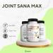 GREENVIFY JointSana Max Maximum Strength Joint Support Supplement 60 Capsules with Glucosamine Chondroitin Turmeric Non-GMO Gluten Free (2) - Buy Online on GoSupps.com