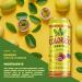 Colorado Iced Tea Mangue Fruit de la Passion Th Glac aux Extraits de Th et Ar mes de Fruits 50cl Lot de 24 - Buy Online on GoSupps.com