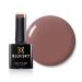 BLUESKY UV/Gel Nail Polish 10ml A043