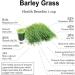 Naveta Barley Grass Powder | 100% Pure & Organic | Best Bio Powder for Men & Women | 3 Boxes (60 Packs) - International Shipping - Buy Online on GoSupps.com