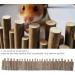 Buy Wooden Hamster Fence & Toys - Natural Hiding Place & Bridges (60cm) for Hamsters and Rats - Buy Online on GoSupps.com