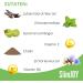Detox Tea with Garcinia Cambogia & Vitamins | 10 Bags for 10 Days | Slimjoy Nightburn XXL | Free E-Book Included - Buy Online on GoSupps.com