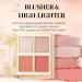 12 Colors Makeup Book Palette Long Lasting And Skin Friendly Eyeshadow Palette Set Blush And Lipstick Set With 4 Blushers And 4 Blushers - Buy Online on GoSupps.com