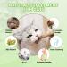 AGYM Cat Silvervine Stick Toy Set - Natural Chew Toys for Cats | Promotes Dental Health, Relaxation, and Digestion | Non-Addictive and Safe | 4 Pack - Buy Online on GoSupps.com