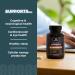 Ancient Nutrition B-Complex Supplement | 8 Balanced B-Vitamins | Supports Energy | Adaptogenic Herbs | Enzyme Activated | Paleo & Keto Friendly | 60 Capsules - Buy Online on GoSupps.com