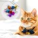 LAMXD 10 Pcs Cat Dog Collar Bells Jingle Bell for Cat Collar Dog Collar Charms Colourful Pet Small Bells with Clasps Pet Collar Accessories Festival Party DIY Crafts Decoration - Buy Online on GoSupps.com