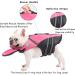 French Bulldog Life Jacket - Professional Dog Safety Vest for Swimming | Superior Buoyancy & Rescue Handle | Cute Pink | Chest Girth 17-30, Weight 17-28LB - Buy Online on GoSupps.com