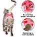 Professional Cat Recovery Suit | Breathable Surgical & E-Collar Alternative for Abdominal Wounds & Skin Diseases | Anti-Licking Regeneration Wear - Buy Online on GoSupps.com