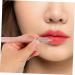 Housoutil Lip Makeup Brush Professional Makeup Makeup Professional Make up Brush Lip Brush for Lipstick Makeup Brush for Women Portable Lipstick Brush Lip Stick Applicator - Buy Online on GoSupps.com