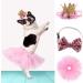 Nicoone Dog Tutu Rock Fly Crown Hat Set | Cute 3-Piece Outfit for Small Dogs & Cats | Perfect Dog Party Gift - Buy Online on GoSupps.com