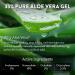 Aloe Up Sport Sunscreen Lotion SPF 30 - Broad Spectrum UVA/UVB Sunscreen Protector for Face and Body - With Hydrating Aloe Vera Gel - Non-Greasy - No White Cast - Reef Safe - Fragrance-Free - 3 Oz. - Buy Online on GoSupps.com