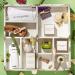 Skin Condition 5: Anti-Aging Care for Wrinkles - Vitamin C 24K Gold & Hyaluronic Acid Gift Set - Organic & Vegan - International Shipping - Buy Online on GoSupps.com