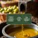 BENVOLIO 1938 Organic Extra Virgin Olive Oil 500ml - 100% ITALIAN Cold Pressed - Buy Online on GoSupps.com