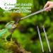 Stainless Steel Reptile Feeding Pliers - 2 Pack with Rubber Tips | Aquarium Tweezers for Snakes & Fish | Long Handle Terrarium Tools - Buy Online on GoSupps.com