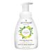 ATTITUDE Foaming Hand Soap  Plant and Mineral-Based Ingredients  Vegan and Cruelty-free Personal Care Products  Lemon Leaves  10 Fl Oz Lemon Leaves 10 Fl Oz (Pack of 1)