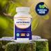 Vitamatic Artichoke Extract Vegetable Capsules 1000mg 240 Count - 10:1 Extract 1000 mg - Non-GMO Gluten Free Supplement - Made in The USA - Buy Online on GoSupps.com