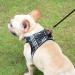 Suredoo Dog Harness for Small Dogs with Leash - Reflective Breathable Anti-Train Design (XXS Black Checkered) - Buy Online on GoSupps.com