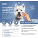Livisto CLX Wipes for Dogs & Cats | Hygienic Cleaning - 20 Pocket Wipes | International Shipping - Buy Online on GoSupps.com