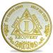 1 Year Sobriety Coin | Alcoholics Anonymous Medallion One Year AA Chip Recovery Token