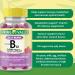 Spring Valley B12 Vitamins 5000 mcg 120 Jelly Beans - Energy Support - Fusion Shop Store Exclusive - Buy Online on GoSupps.com