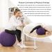 Purple Exercise Ball Chair with Fabric Cover - Home Office Desk Pilates Yoga Ball for Pregnancy, Back Pain Relief, Posture Improvement - Buy Online on GoSupps.com