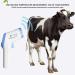 NDNCZDHC Veterinary Thermometer Dog Thermometer Fast Digital Veterinary Thermometer Pet Thermometer for Pig Cattle Sheep Dog Horse (Without Battery) - Buy Online on GoSupps.com