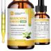Quercetin Supplements - Quercetin Liquid Drops 5 in 1 Quercetin Organic with Bromelain Elderberry Vitamin for Immunity Health Respiratory Health Skin Care 60ml