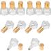 Beavorty 12-Pack Glass Roller Bottles for Essential Oils & Makeup Remover - Travel-Friendly Durable and Stylish - Buy Online on GoSupps.com