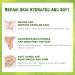 Green Tea Anti-Wrinkle Hand Mask - Hydrating Peel Off Wax for All Skin Types | Nourish & Repair Calluses - Buy Online on GoSupps.com